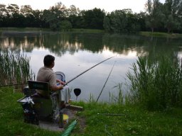 Competities HSV Alfheim